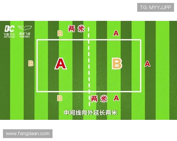 南京飞盘队与深圳飞盘队对决后的战术分析与经验总结