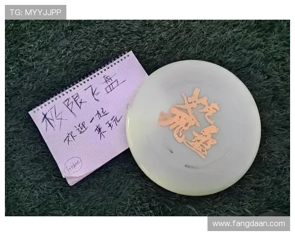 南京飞盘队的速度之道：探索飞盘运动的魅力与挑战