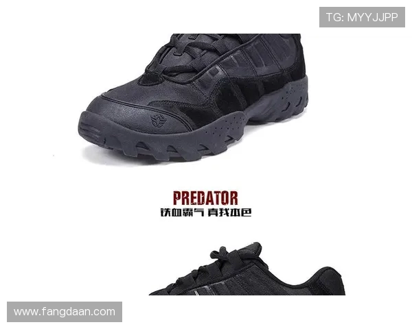 广州攀岩队反击体系探秘：攀岩战术的创新与实践分析