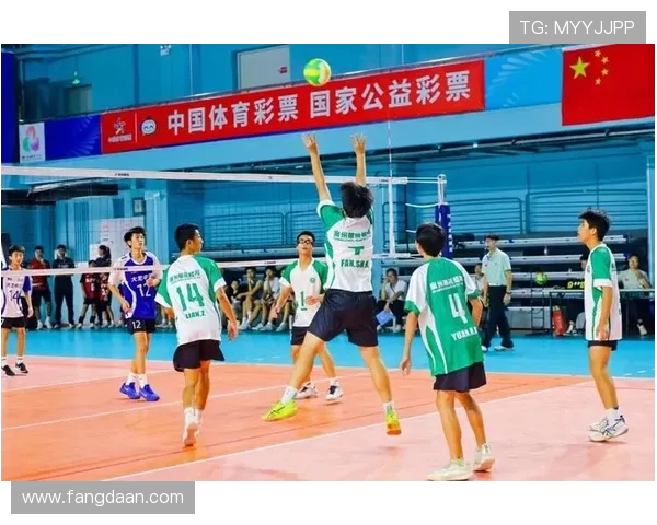 广州排球队在排球状态排行榜中荣获第五名展现出强劲实力与潜力