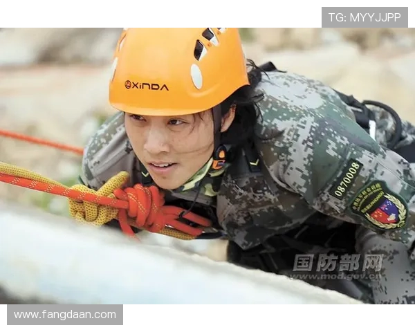 杭州排球队总决赛逆袭之旅背后的奋斗与荣耀揭秘