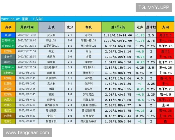 武汉足球队整体压制战术解析及其在比赛中的应用与优势分析