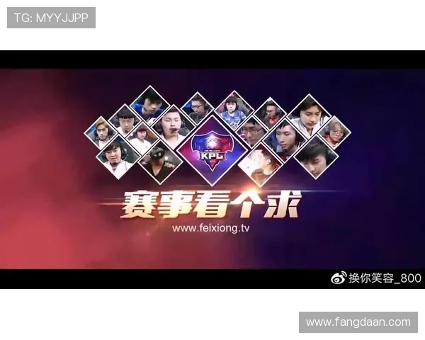 聚焦王者荣耀EDG战队的崛起与实力分析探讨