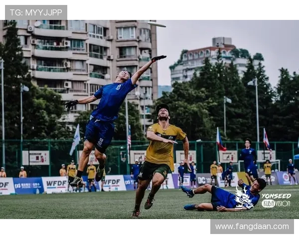从零开始掌握飞盘技巧与战术全解析助你成为飞盘高手