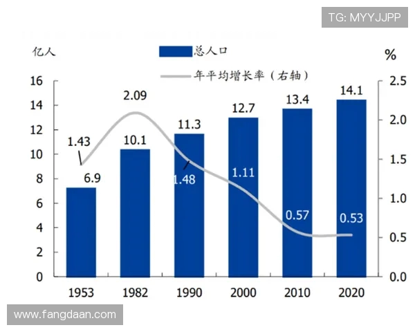 南京滑板队技术表现深度分析与数据解读探讨 南京滑板队技术表现深度分析与数据解读探讨