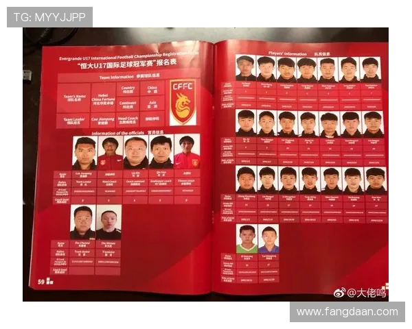 杭州足球队在冠军赛中的比赛经验与表现分析