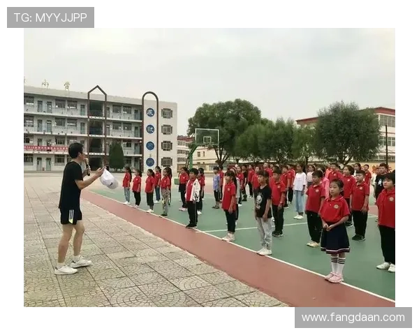 深圳排球队技术解析：从基本功到战术运用的全面探讨